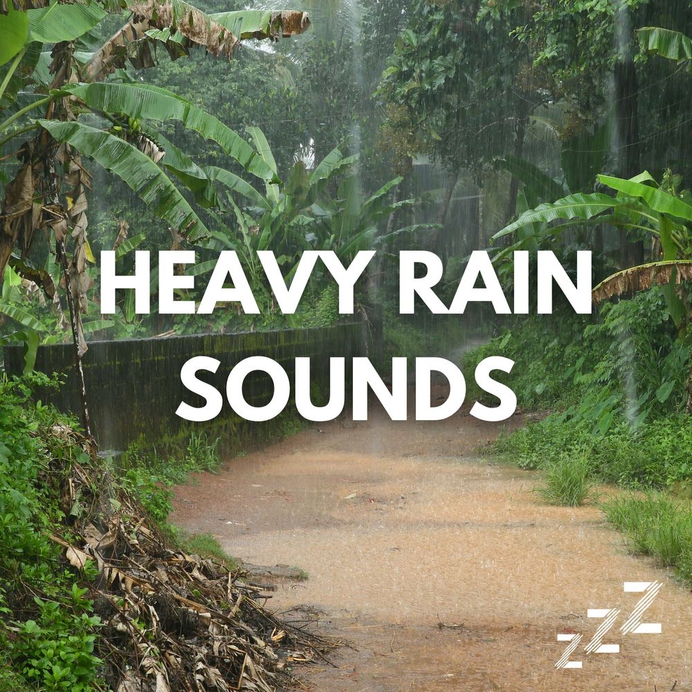 Rain Sounds for Sleep: The Natural Solution to Help You Fall Asleep - Mattari Gift Shop